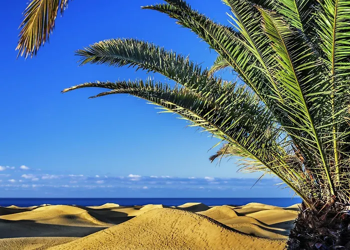 Vespucio Canteras By Canariasgetaway Las Palmas